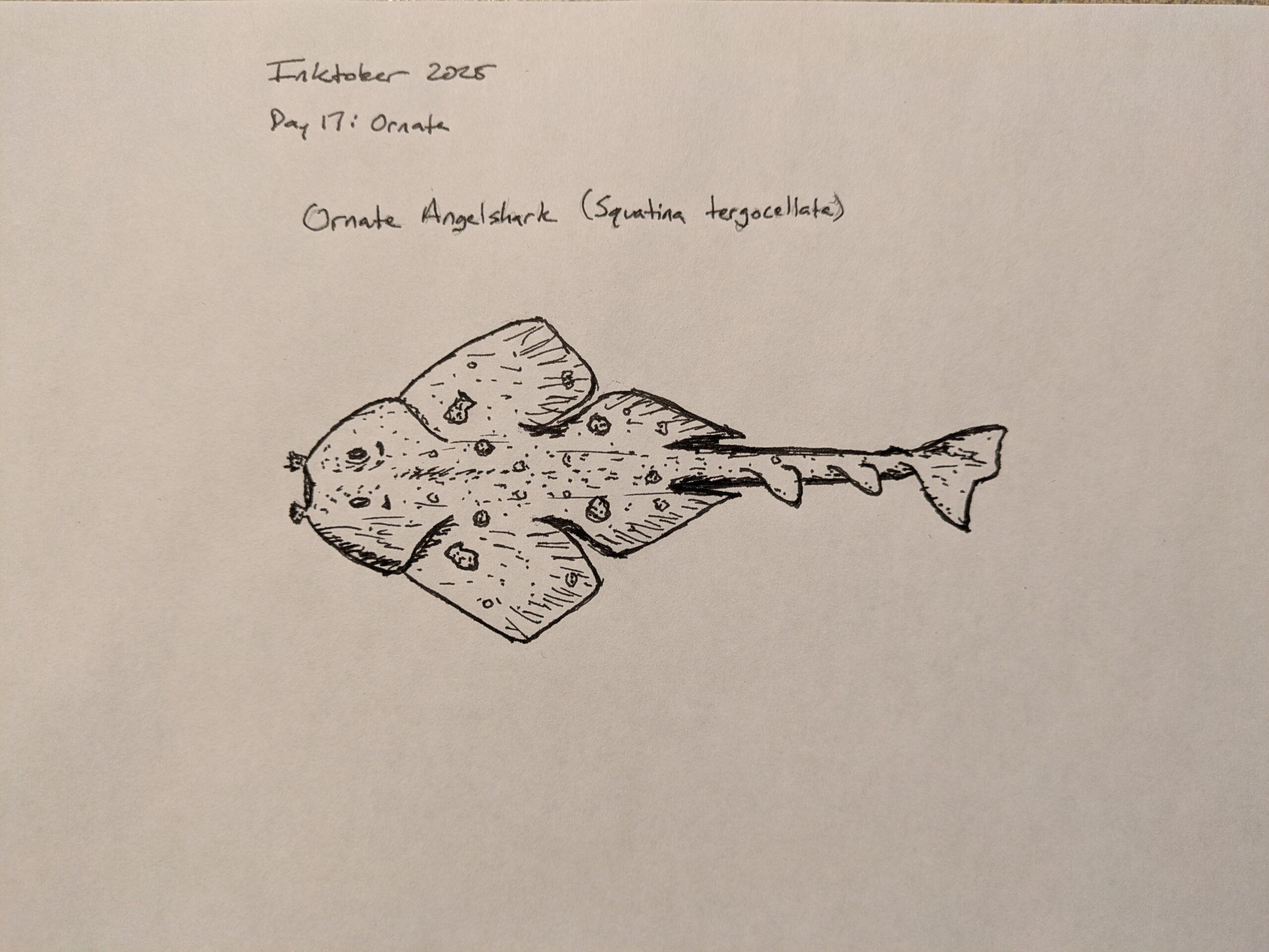 Inktober 2025 – Day 17