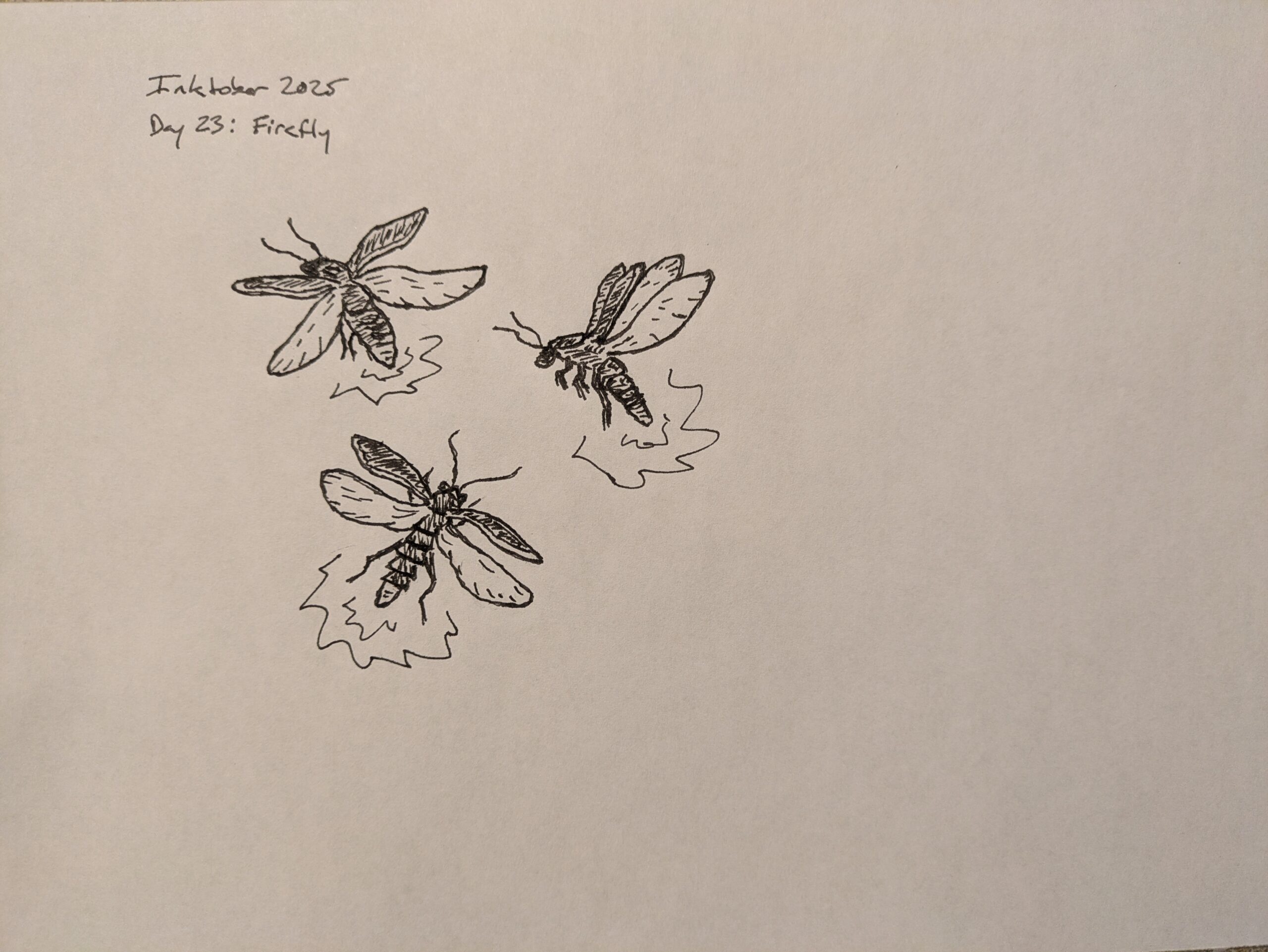 Inktober 2025 – Day 23