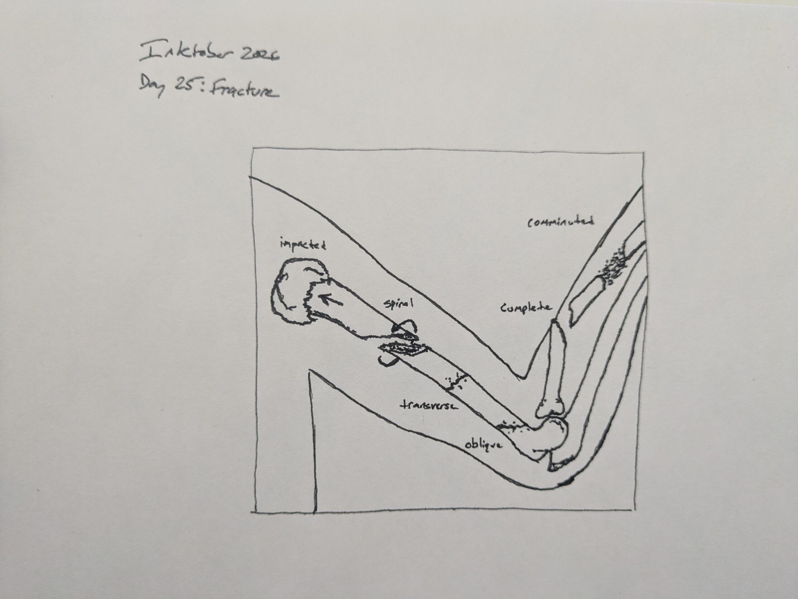 Inktober 2026– Day 25